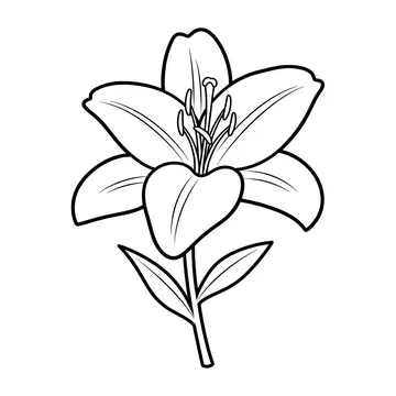 Lovely Lily Kids Coloring Page