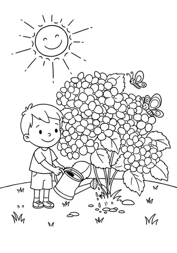 Garden Adventure Hydrangeas Coloring Pages