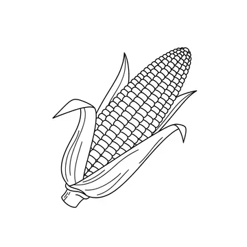 Thanksgiving Harvest Corn Coloring Page